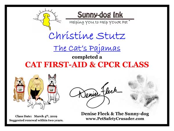 pet first aid for Pet Sitters